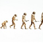 monkey_to_man