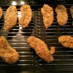 Slow Carb Spicy Chicken Strips
