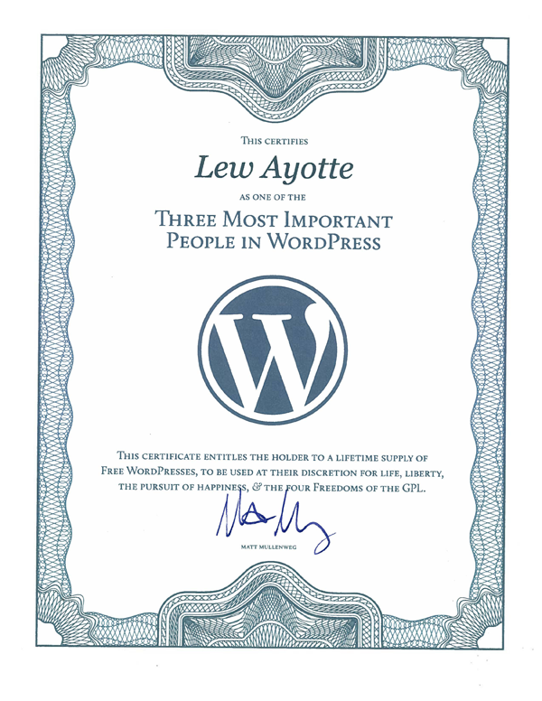 Certified as one of the Three Most Important People in WordPress