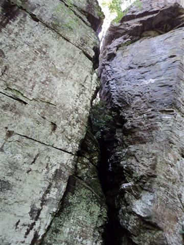 Raven Cliff Falls Trail (Georgia)