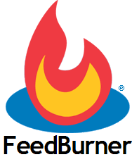 How to Block FeedBurner from Burning your Feed (in WordPress)